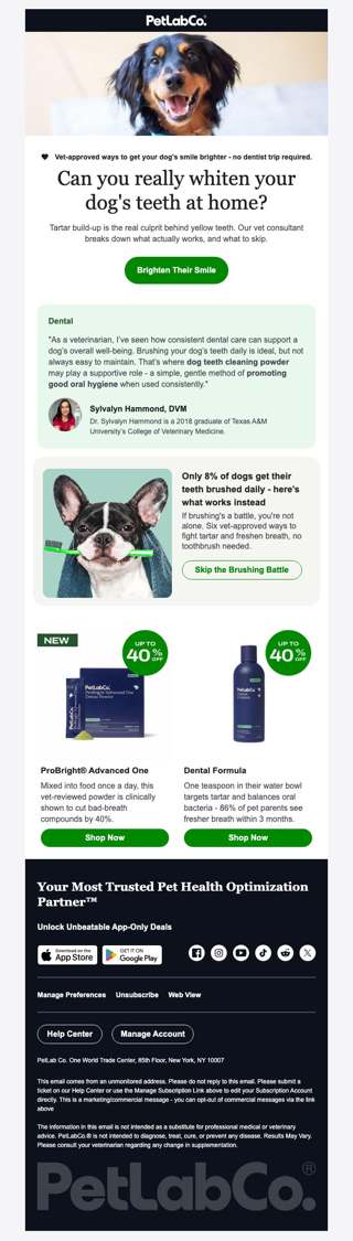 The truth about your dog's yellow teeth
