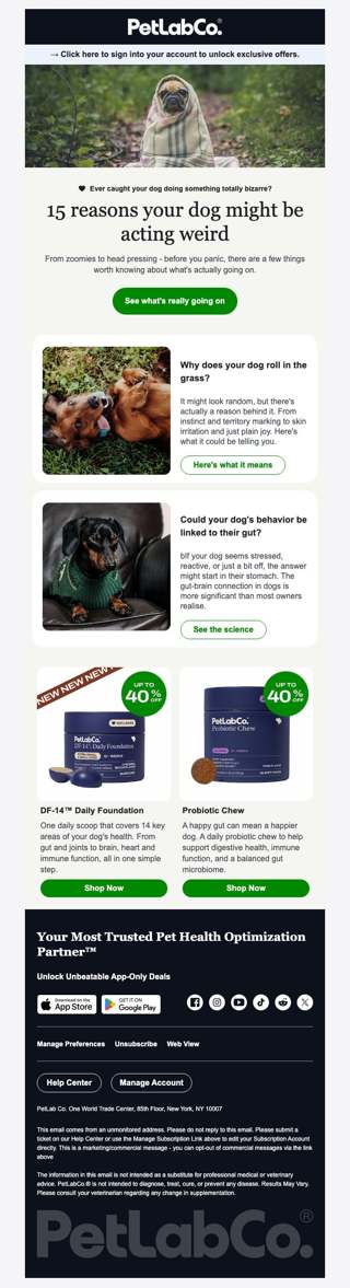Is your dog secretly a little weird? 🤔
