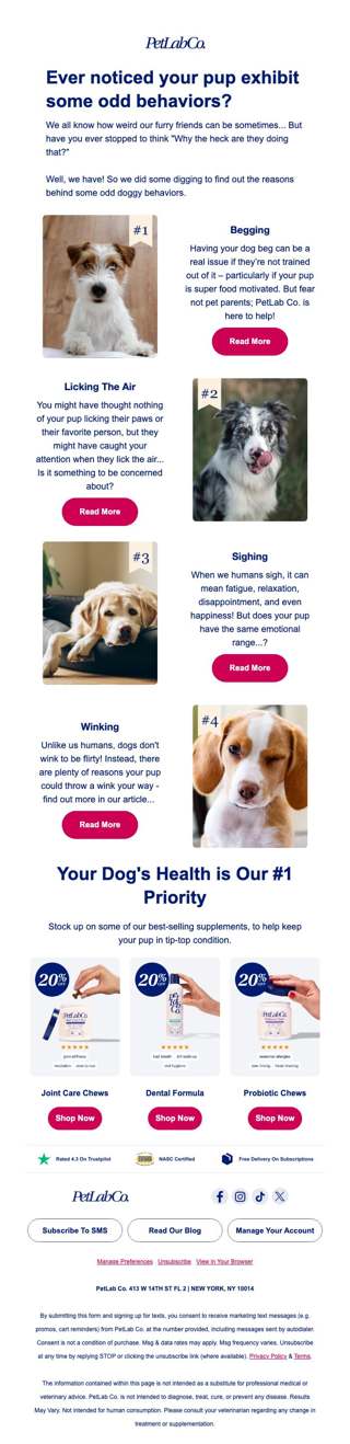 Has your dog ever winked at you?