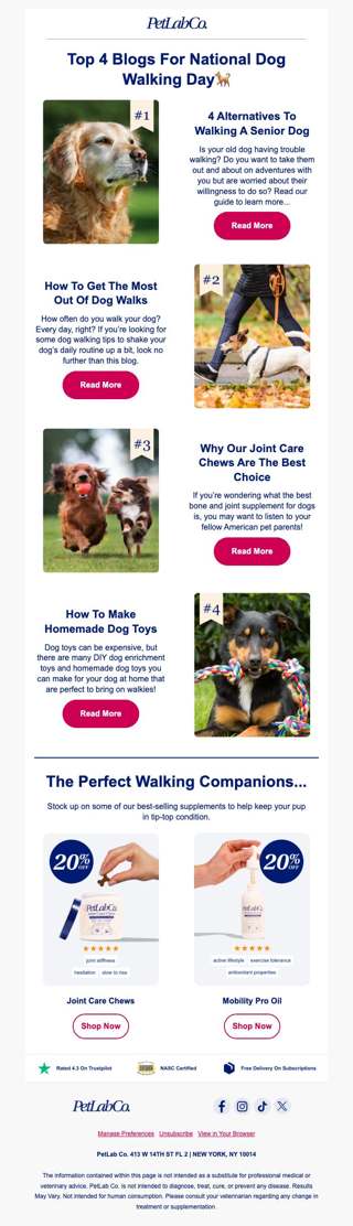 Top 4 dog walking blogs