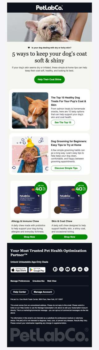 Is your dog's grooming routine supporting their health?