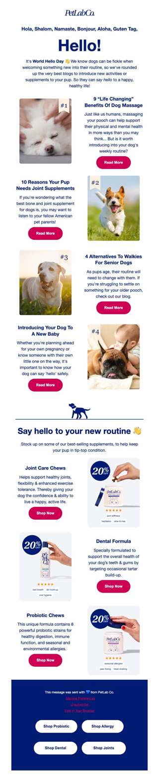 4 blogs to help your dog settle into a routine