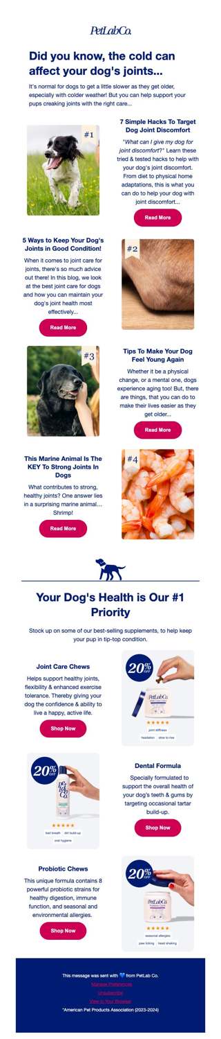 Make your dog feel like a puppy again
