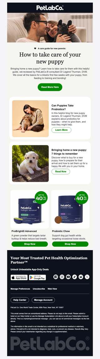Could you care for a new puppy?
