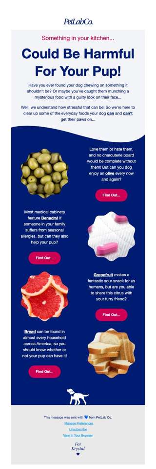 Are these common foods safe for your dog?
