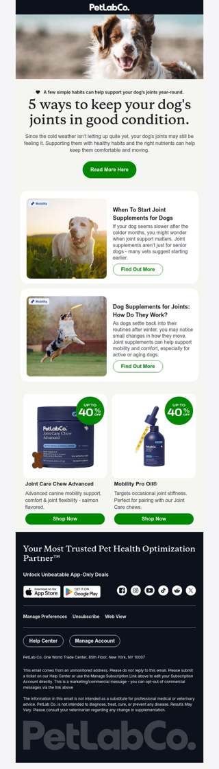5 ways to support your dog's joints🦴
