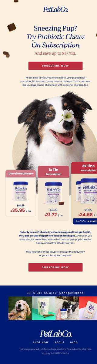 Does your dog get allergies? Read this