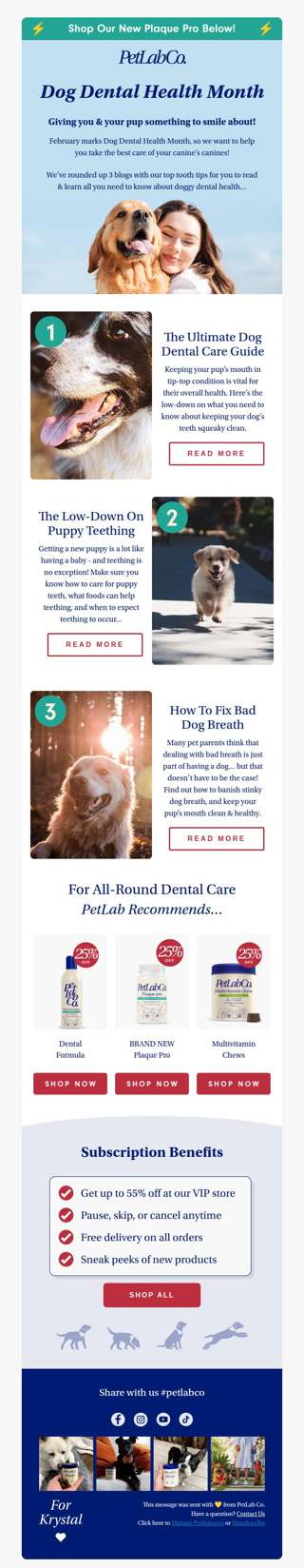 The ultimate guide to doggy dental care