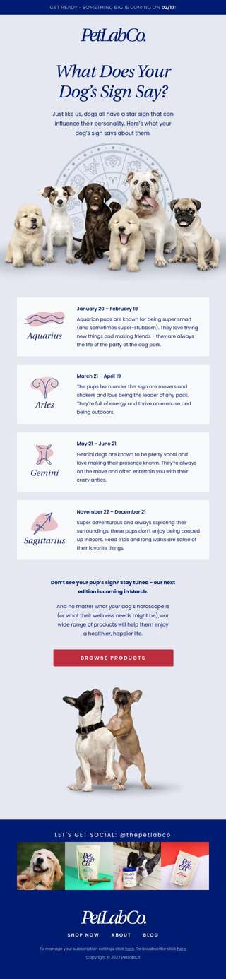 Want to know more about your dog's star sign?