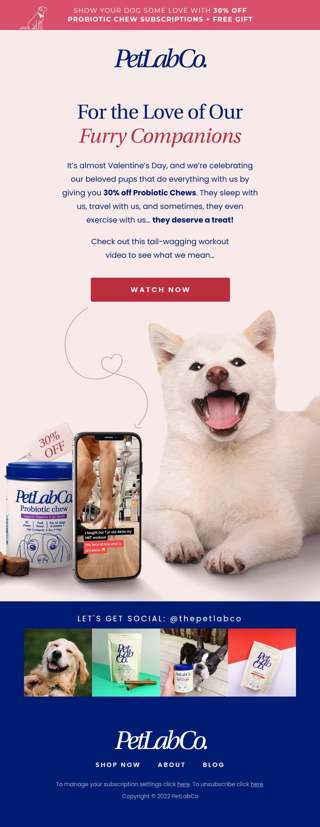 Some puppy love for Valentine’s Day