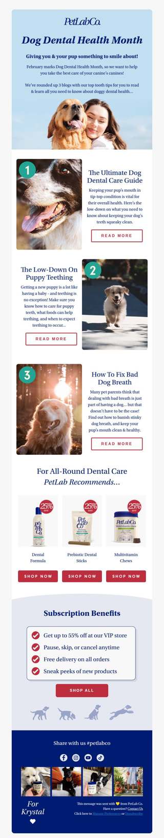 Dog Dental Month! Here’s what you need to know…
