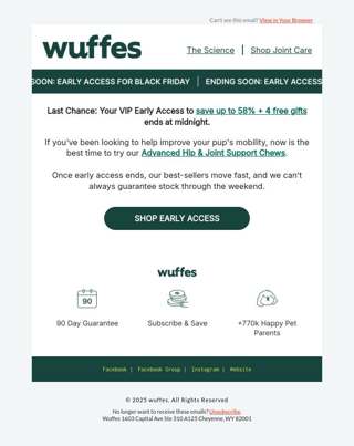 Expires Tonight: Your VIP Early Access to Black Friday