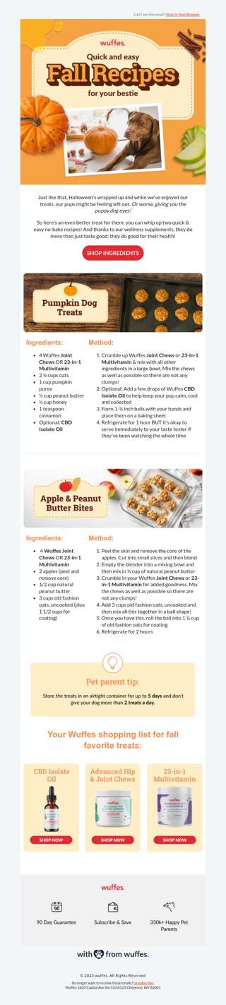 Two tasty fall treats for your pup 🐶