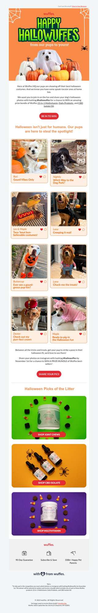 Cute dog costume alert! 🎃 You don't want to miss these.