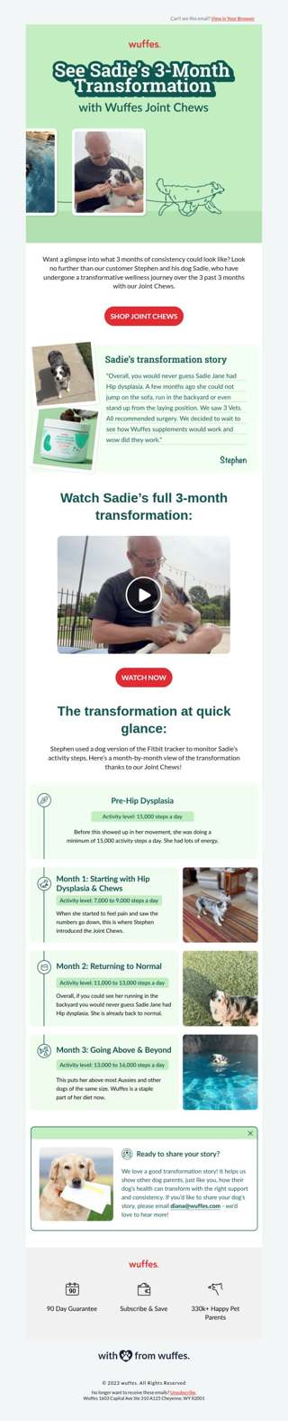 An incredible transformation story! 🐶