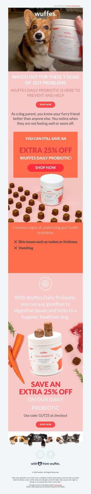 5 signs to watch out for from your dog