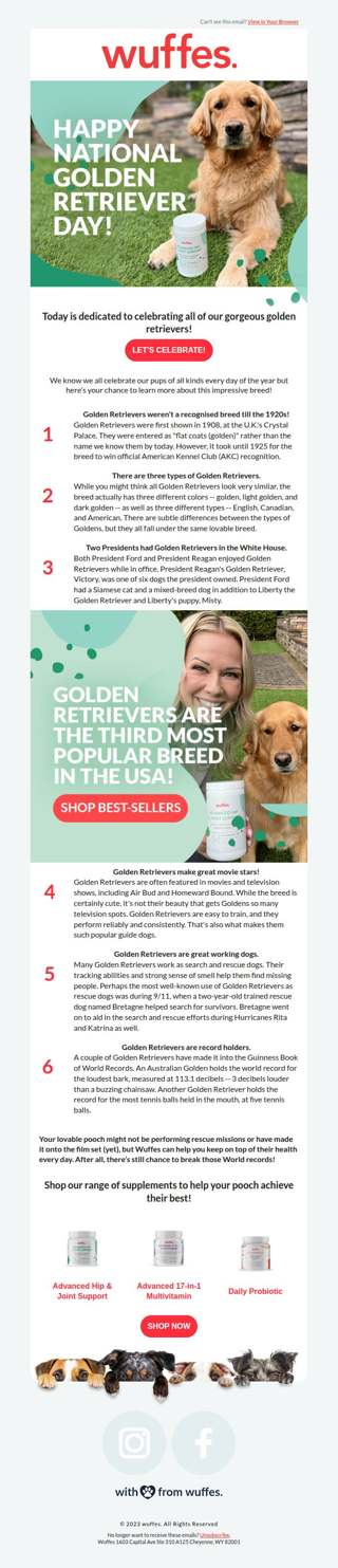 Happy National Golden Retriever Day! 💛