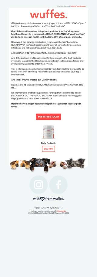 How probiotics can save your dog’s life