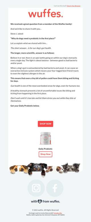 Should your dog take a daily probiotic?