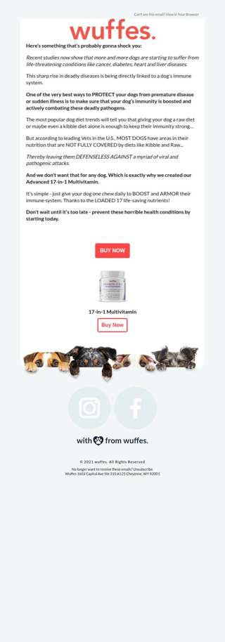 How to 10X your dog’s immunity…