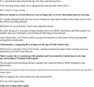 Dogs slow down due to aging? Think again!