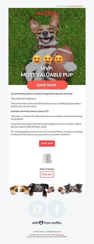 Are you ready for the Puppy Bowl?
