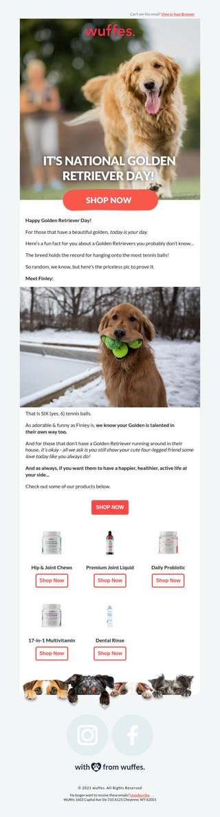 Happy Golden Retriever Day!