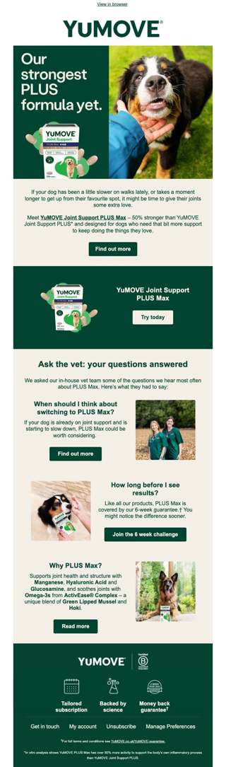Does your dog need a little extra support?