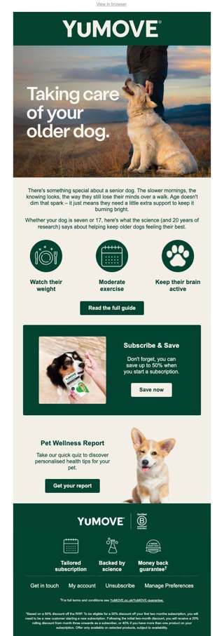 Caring for your older dog