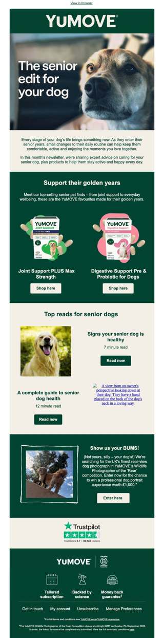 Support your dog through their senior years