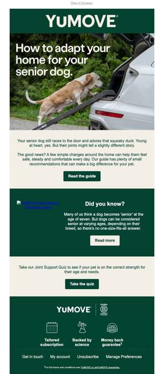 Adapt your home for your senior dog
