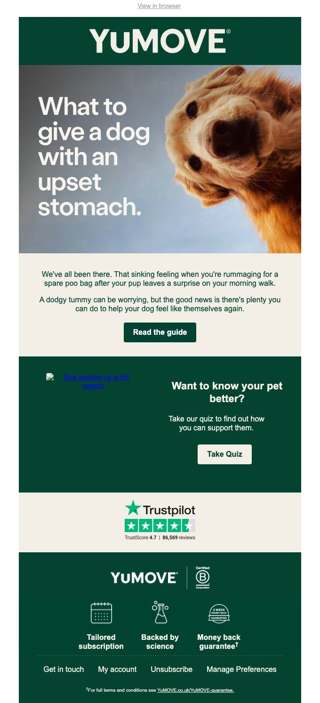 Tips to settle your dog's stomach