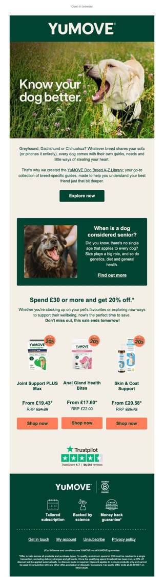 Meet your dog's breed guide 🐾
