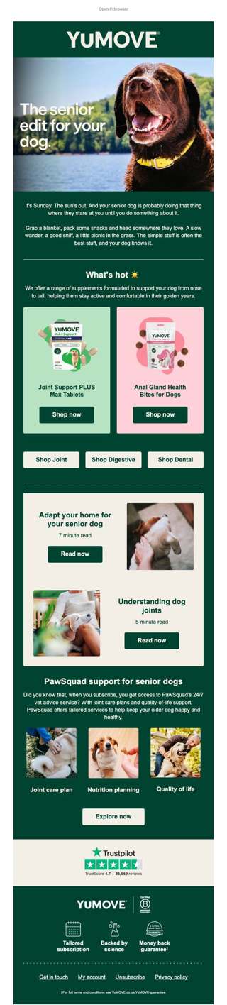 Caring for your senior dog