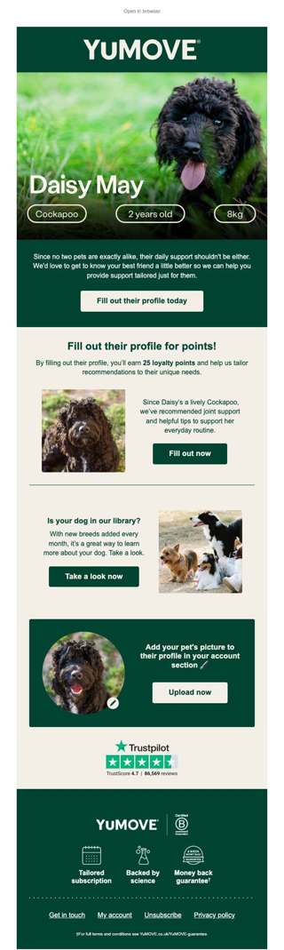 Tell us all about your best friend