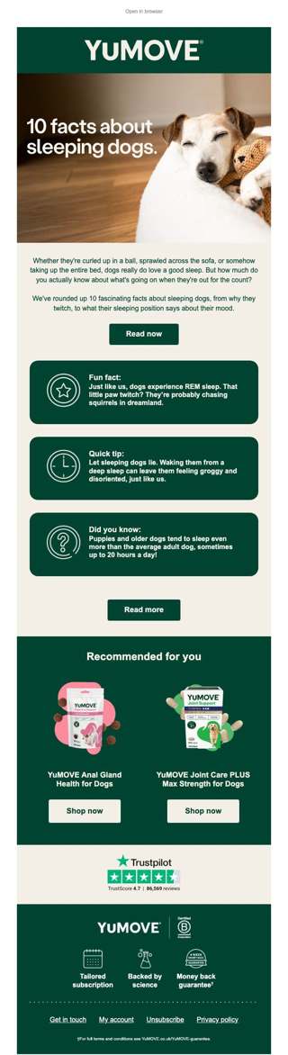 10 facts about sleeping dogs 🐾