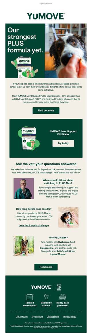 Does your dog need a little extra support?