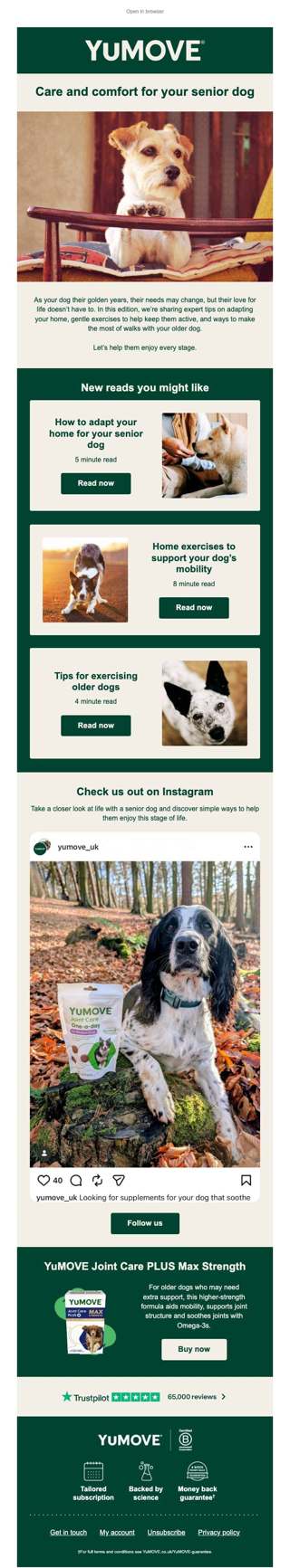 Your guide to senior dog care