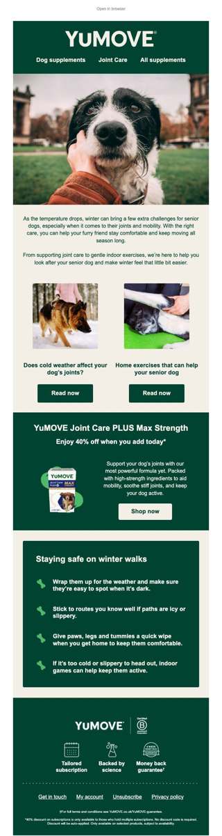 Winter tips for your senior dog