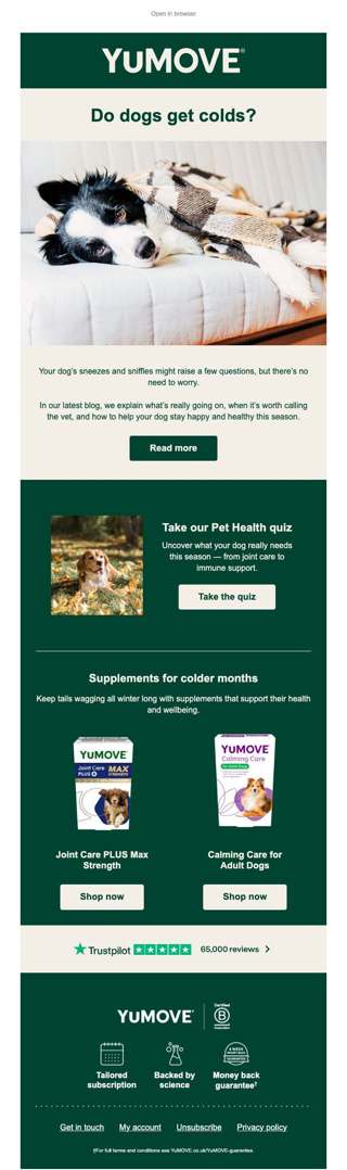 Do dogs really get colds?
