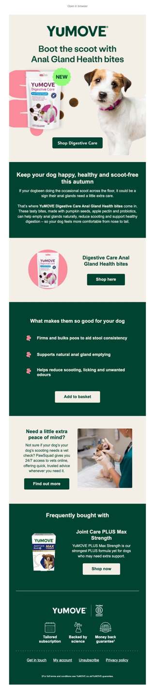 Keep your dog comfy and scoot-free