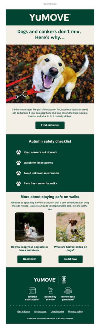Beware of autumn hazards 🌰🐾