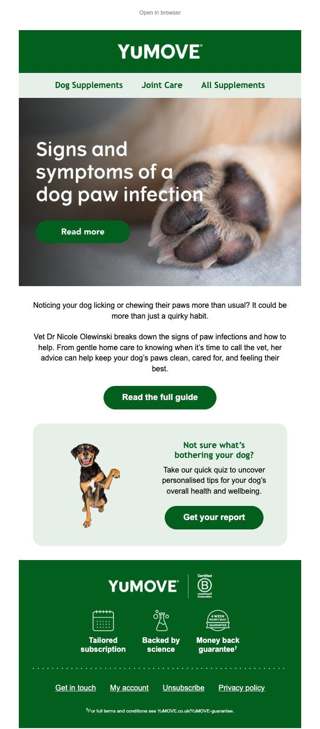 Vet-approved paw care tips
