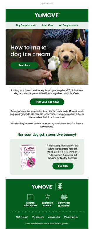 DIY dog ice cream? Yes please.