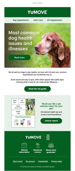Common dog health issues you should know