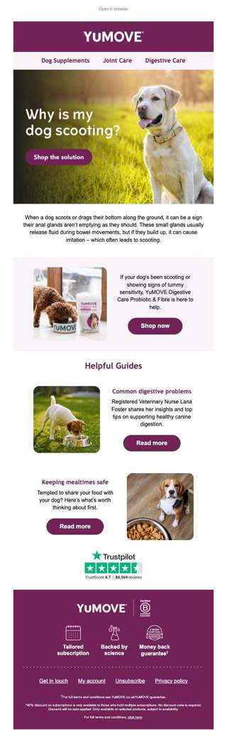 Is your dog scooting?
