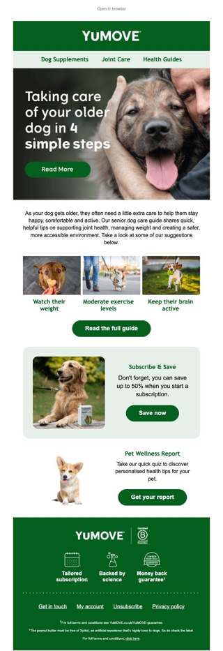 Your guide for taking care of older dogs