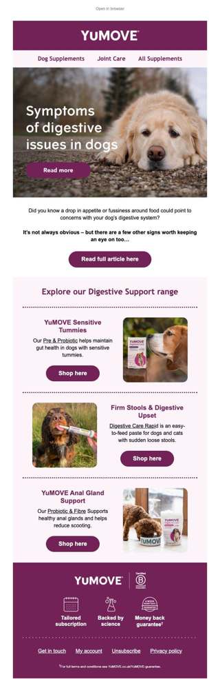 Symptoms of digestive issues in dogs