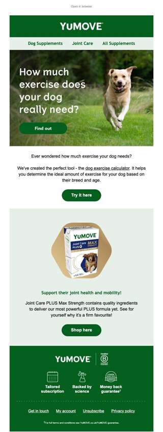 How much exercise does your dog need?