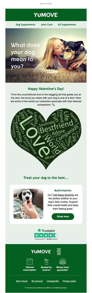 What your dog really means to you
